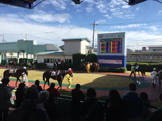 Urawa Racecourse