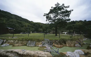 A grassy zoo enclosure with a large tree in the center, surrounded by rocks, shallow water, and fences. Forested hills and cloudy skies are in the background.