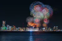 Yokohama Festival