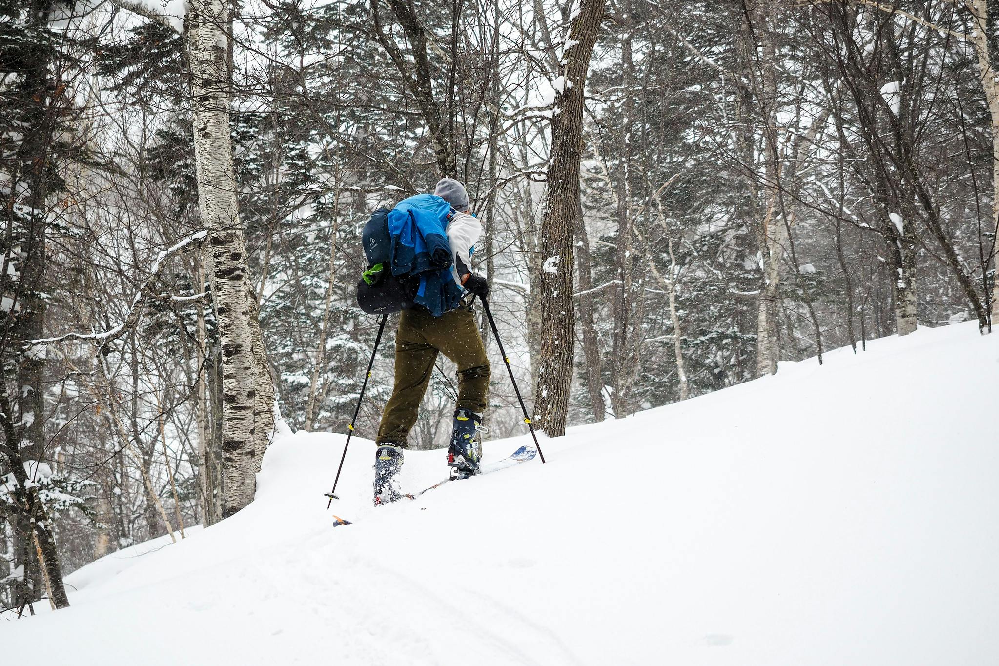 A person wearing winter gear and a backpack skis uphill through a snowy forest, surrounded by bare trees and fresh snow.