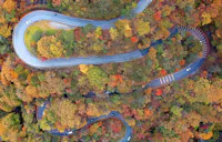 A winding mountain road snakes through a forest filled with vibrant autumn foliage in shades of red, orange, and yellow. Several cars travel along the curves, viewed from above.