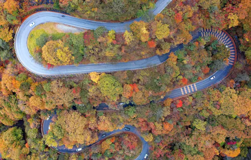 A winding mountain road snakes through a forest filled with vibrant autumn foliage in shades of red, orange, and yellow. Several cars travel along the curves, viewed from above.