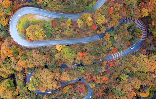 A winding mountain road snakes through a forest filled with vibrant autumn foliage in shades of red, orange, and yellow. Several cars travel along the curves, viewed from above.