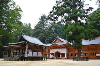 A traditional Japanese Shinto shrine with wooden buildings and ornate roofs stands surrounded by tall green trees under a cloudy sky.