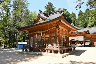 A traditional Japanese Shinto shrine made of wood, featuring ornate roofing, white paper streamers, and surrounded by tall green trees under a clear blue sky.