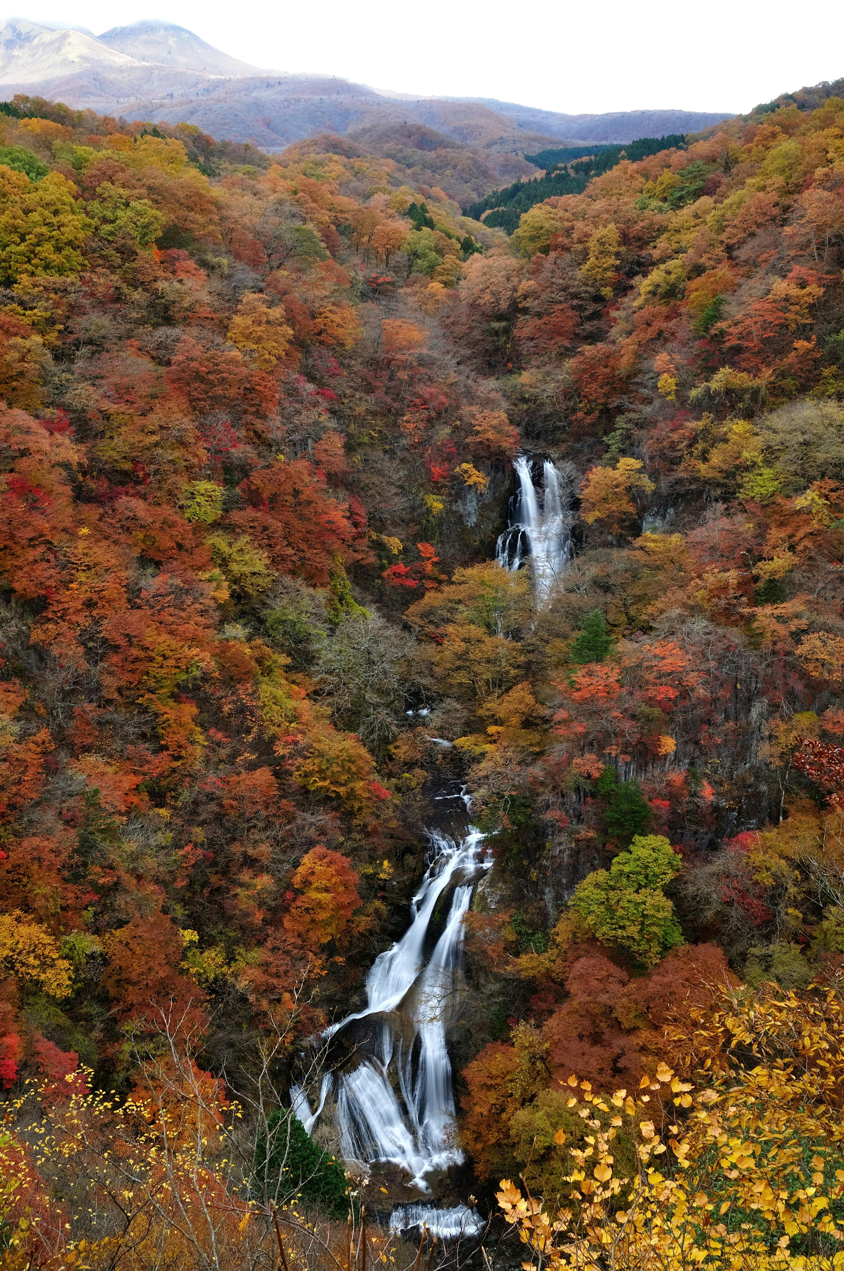 A tall, multi-tiered waterfall cascades through a forested valley filled with vibrant autumn foliage in red, orange, and yellow hues. Distant mountains are visible under a pale sky.