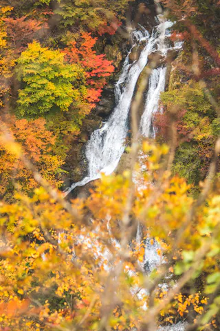 A waterfall cascades down rocks surrounded by vibrant autumn foliage in shades of orange, yellow, and red; blurry branches and leaves frame the foreground.