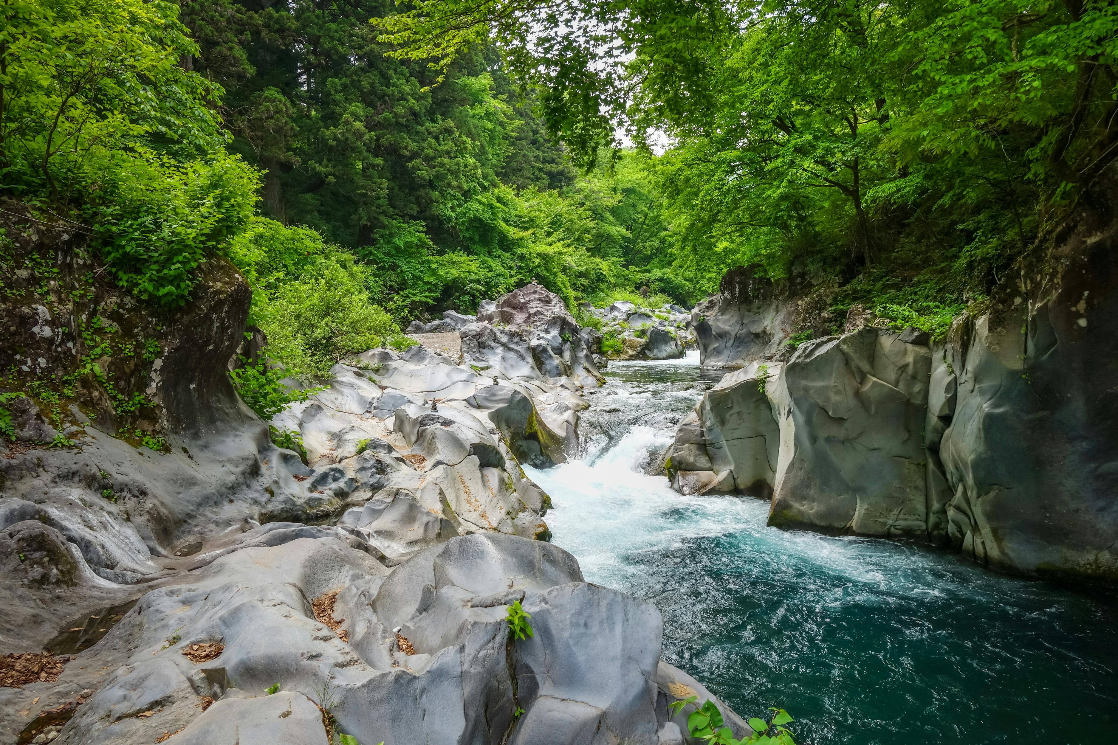 A clear river flows through smooth, weathered rock formations surrounded by lush green trees and dense forest under bright daylight.