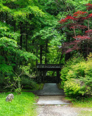 A stone path leads to a traditional wooden gate surrounded by lush green trees and bushes, with some red leaves adding contrast, in a peaceful garden setting.