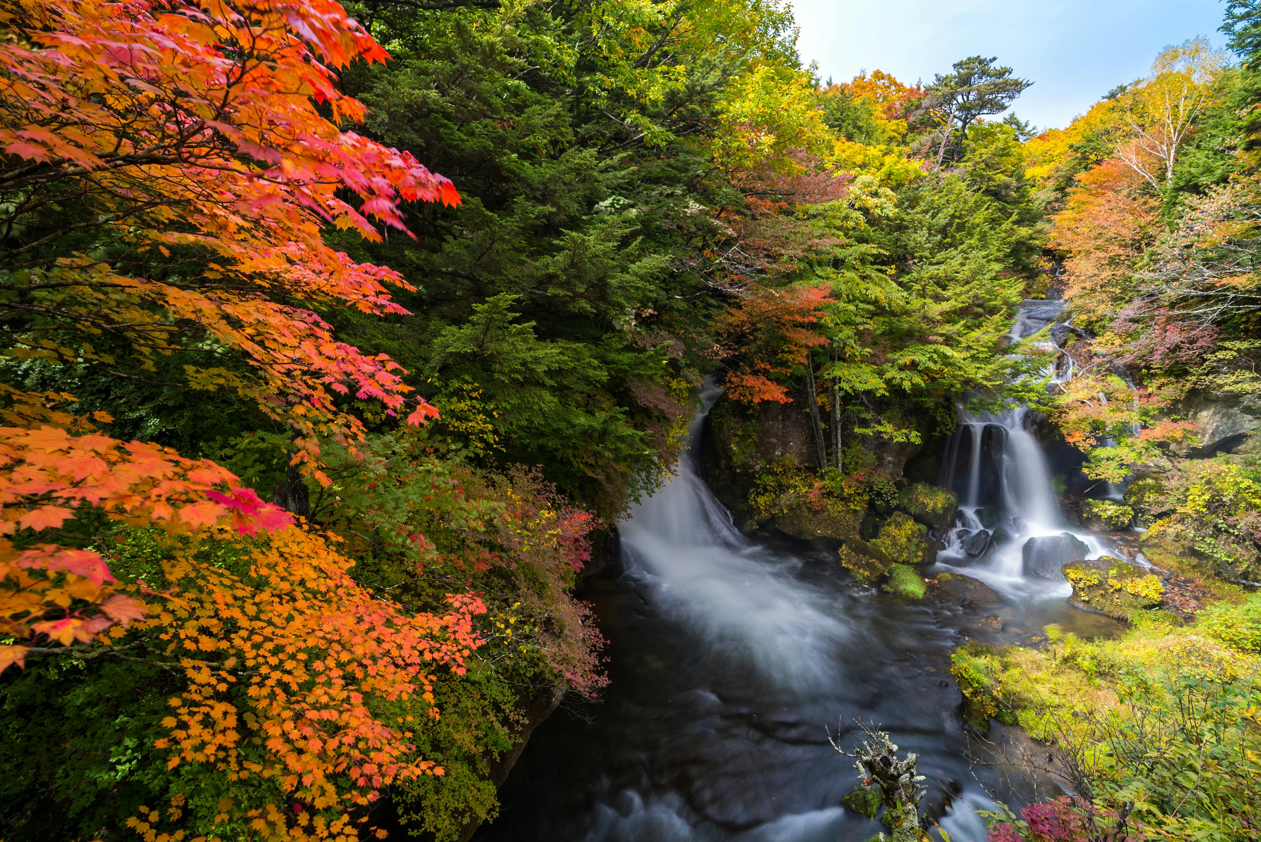 Waterfall flows through a lush forest with vibrant autumn foliage in shades of red, orange, and green. Sunlight filters through the trees, illuminating the colorful leaves and misty water below.