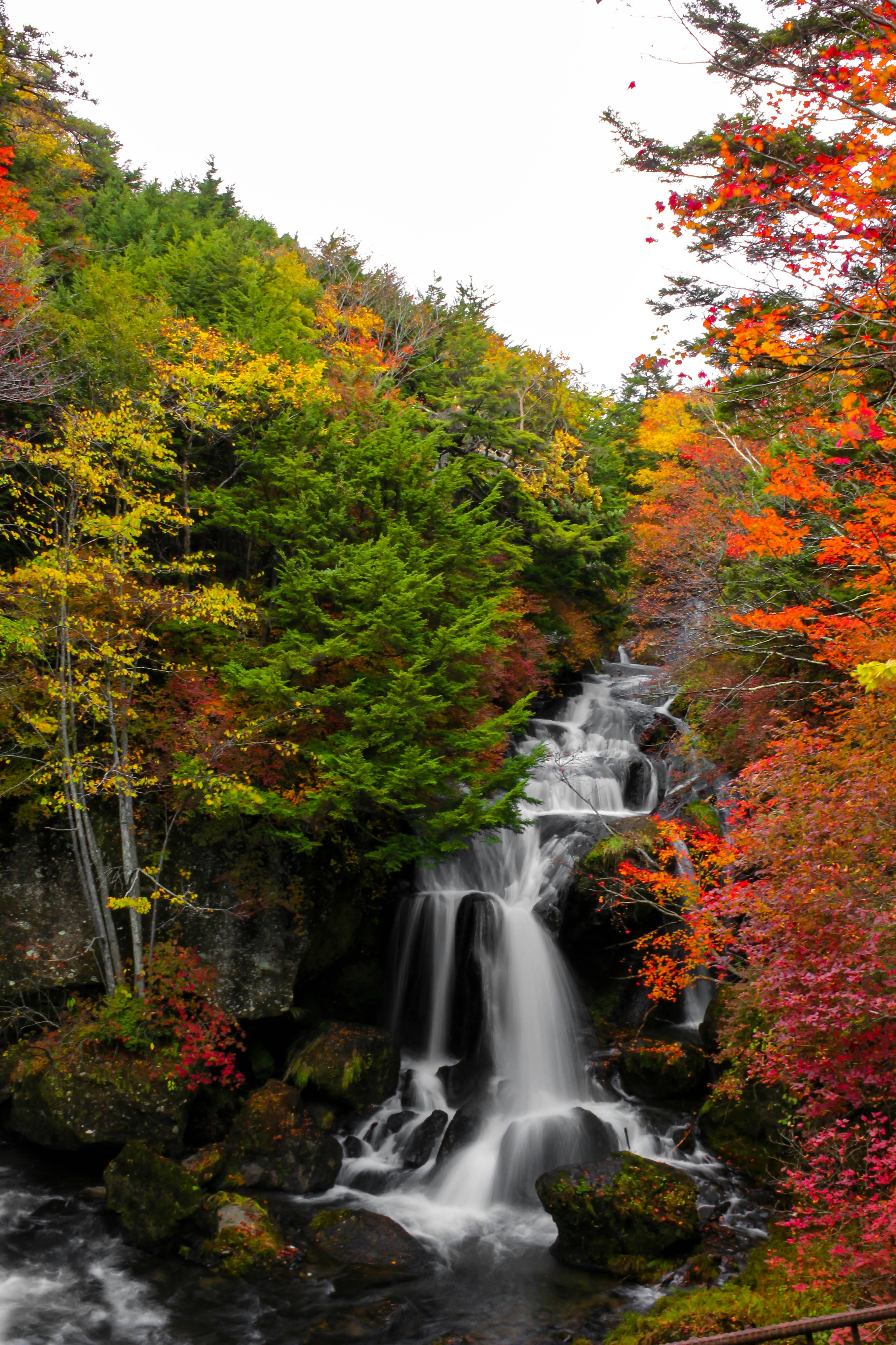 A small waterfall flows over rocks surrounded by vibrant autumn foliage, including red, orange, and yellow leaves, and green pine trees. The water cascades down into a clear stream below under an overcast sky.