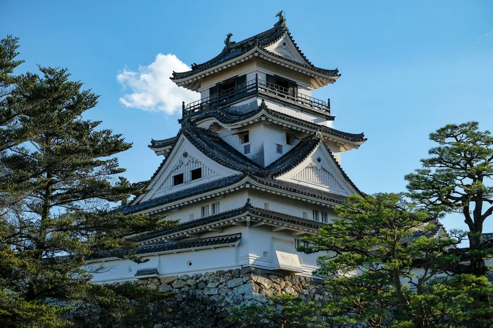 A traditional Japanese castle with white walls and a multi-tiered, black-tiled roof stands against a clear blue sky. The structure is surrounded by lush green trees, and the sunlight casts a gentle glow on the castle, highlighting its architectural details.