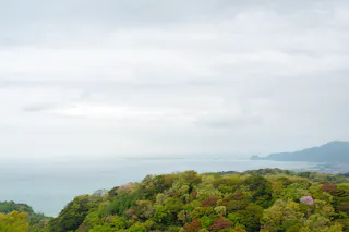 A scenic view of lush green trees in the foreground, with a calm blue sea and distant mountains under a cloudy sky in the background.
