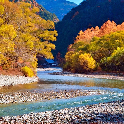 Autumn Leaves Viewing (Koyo) Autumn Leaves Viewing (Koyo)