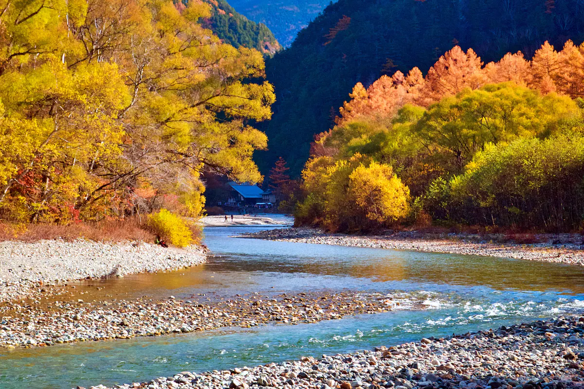 Autumn Leaves Viewing (Koyo) Autumn Leaves Viewing (Koyo)