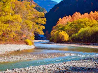 Autumn Leaves Viewing (Koyo)