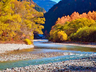A clear river flows over pebbles, surrounded by trees with vibrant autumn foliage in shades of yellow, orange, and green. Forested mountains rise in the background under a bright blue sky.
