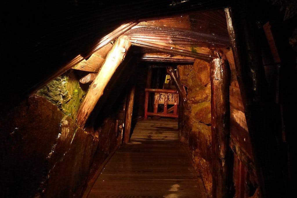 A dimly lit, narrow wooden tunnel with wet surfaces and wooden beams, leading deeper underground. Some green moss grows on the stone walls, and a wooden railing is visible at the end of the passage.