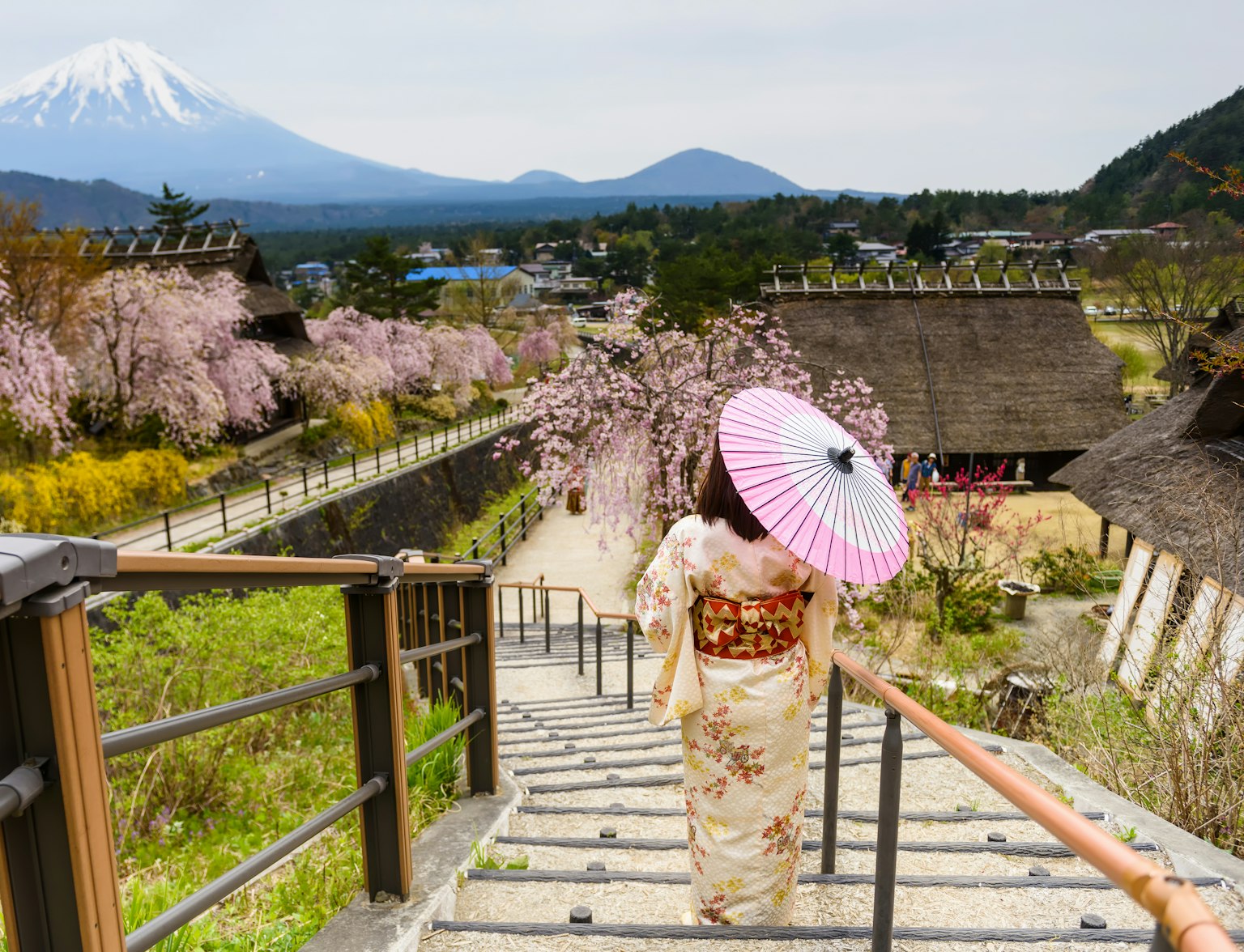Saiko Iyashi-no-Sato Nenba Saiko Iyashi-no-Sato Nenba