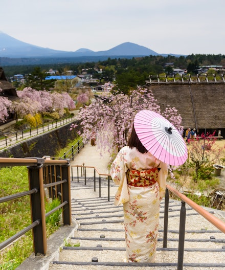 Mt. Fuji Private Day Trip from Tokyo