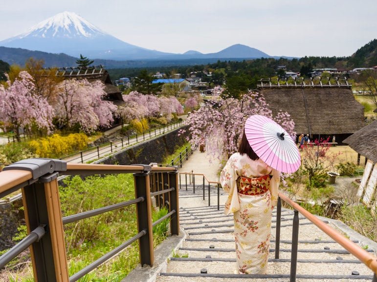 Mt. Fuji Private Day Trip from Tokyo