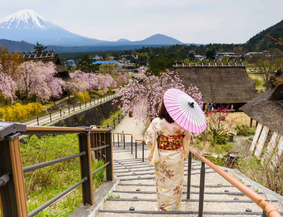 Saiko Iyashi-no-Sato Nenba Saiko Iyashi-no-Sato Nenba
