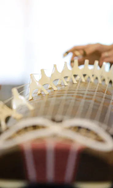 Playing Koto Playing Koto