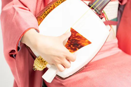 Playing Shamisen