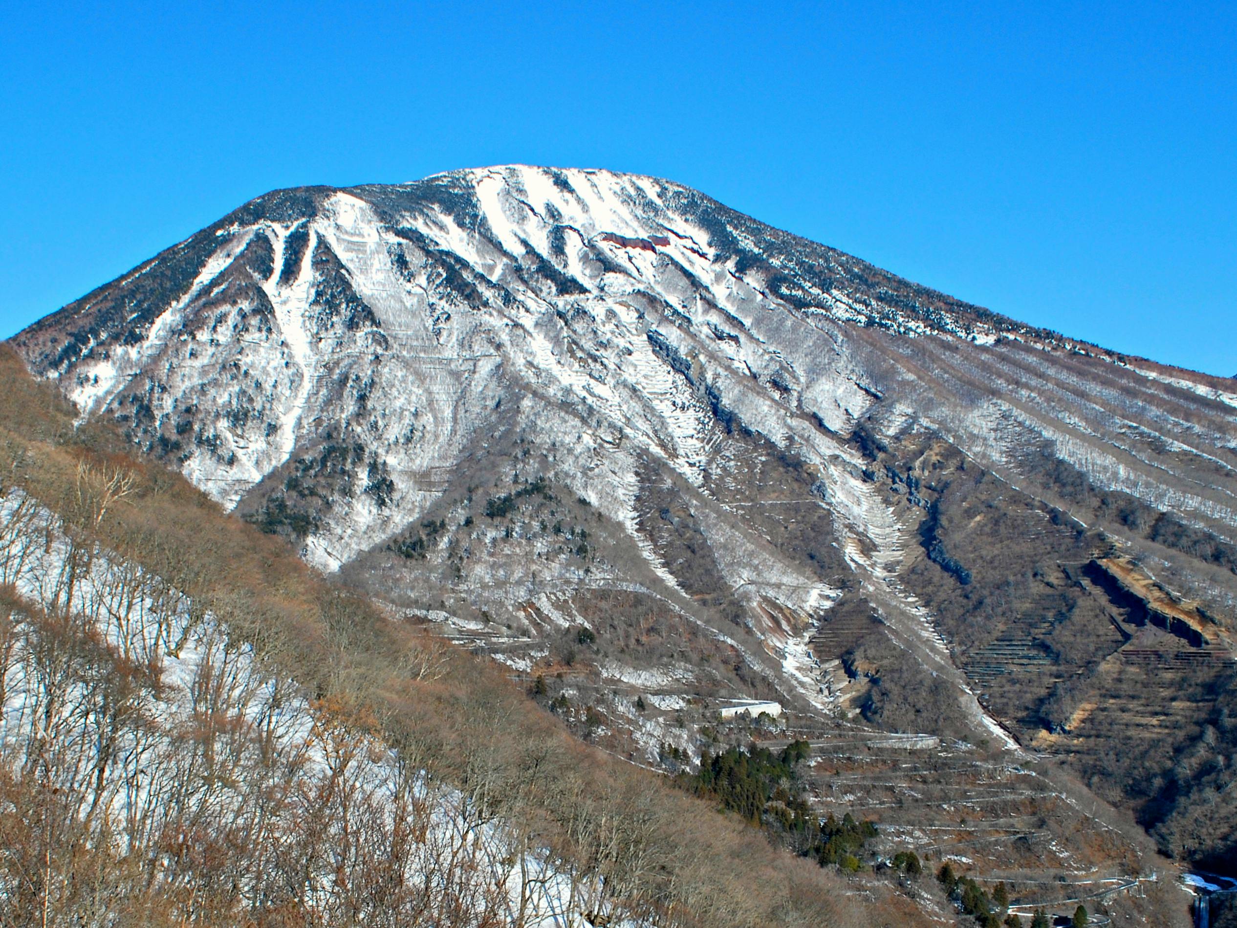 Snow-covered mountain with rugged slopes under a clear blue sky, with patches of bare trees and some greenery visible on the lower slopes.