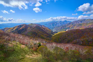 A scenic view of rolling mountains covered in autumn foliage under a bright blue sky with scattered clouds. Sunlight highlights the colorful trees, and distant mountain peaks fade into the horizon.