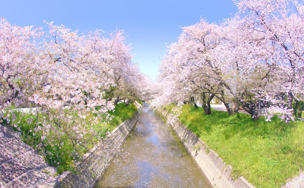 Iwakura Trip To Japan