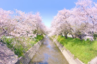 Iwakura