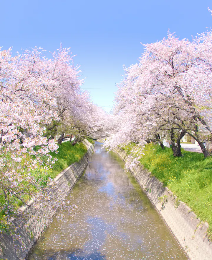 Iwakura Iwakura overview