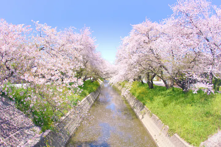 Iwakura overview