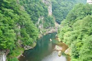 A serene river flows between steep, rocky cliffs covered in lush green trees, creating a peaceful forest landscape on a bright, clear day.