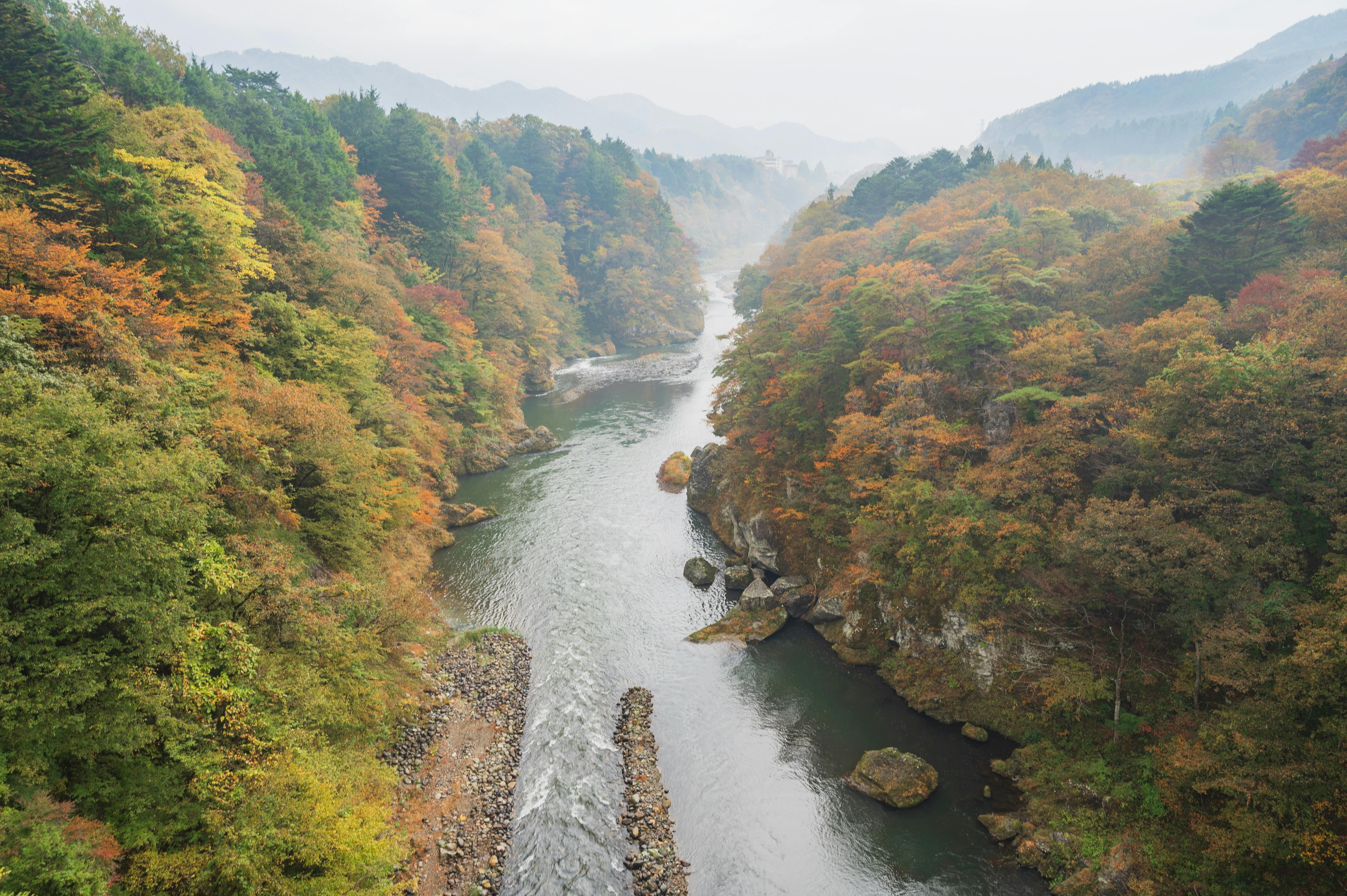 A river winds through a forested valley with trees in autumn colors, surrounded by hills and distant mountains under a hazy sky. Rocks and pebbles line the riverbank.