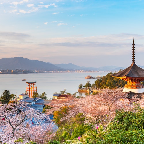 Miyajima Miyajima