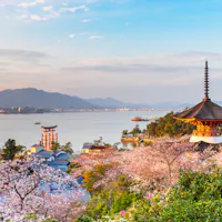 Miyajima Miyajima