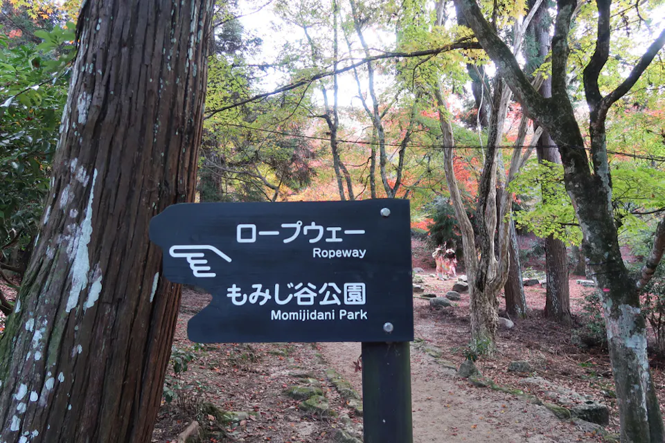 Momijidani Course A wooden hiking trail sign points left, indicating directions to the Ropeway and Momijidani Park in both Japanese and English. The path is surrounded by trees with autumn foliage, creating a serene forest atmosphere.