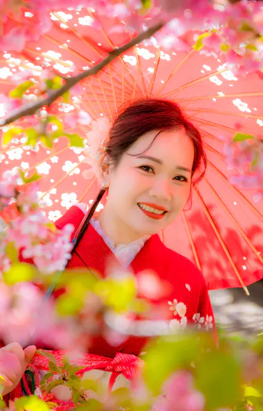 Wearing Kimono A woman in a red kimono smiles while holding a pink parasol, surrounded by vibrant cherry blossom trees in full bloom. The soft sunlight filters through the flowers, creating a cheerful and serene scene.
