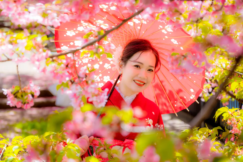 Wearing Kimono Wearing Kimono