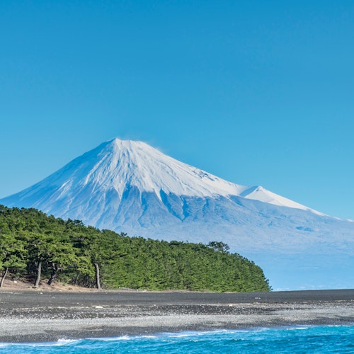 Miho no Matsubara Snow-capped Mount Fuji under a clear blue sky, with a lush green forest at its base and a pebbly shoreline in the foreground.