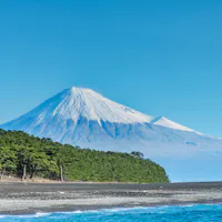 Miho no Matsubara Snow-capped Mount Fuji under a clear blue sky, with a lush green forest at its base and a pebbly shoreline in the foreground.