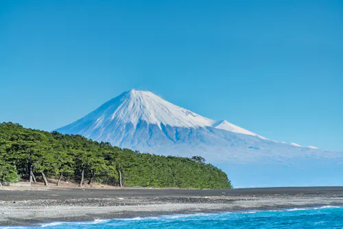Snow-capped Mount Fuji under a clear blue sky, with a lush green forest at its base and a pebbly shoreline in the foreground.
