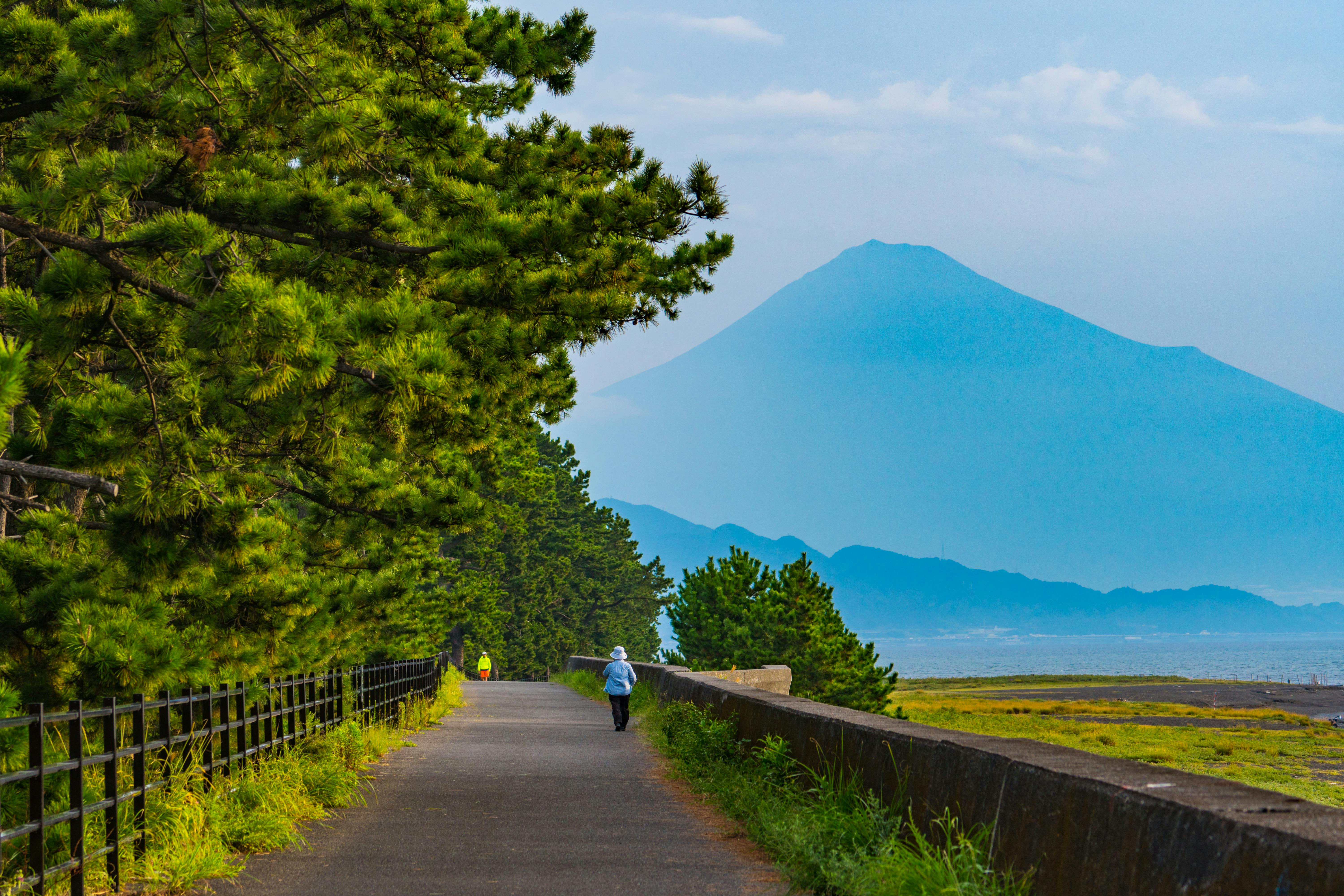 A person walks along a tree-lined path with a view of a distant, misty Mount Fuji under a blue sky in Japan.