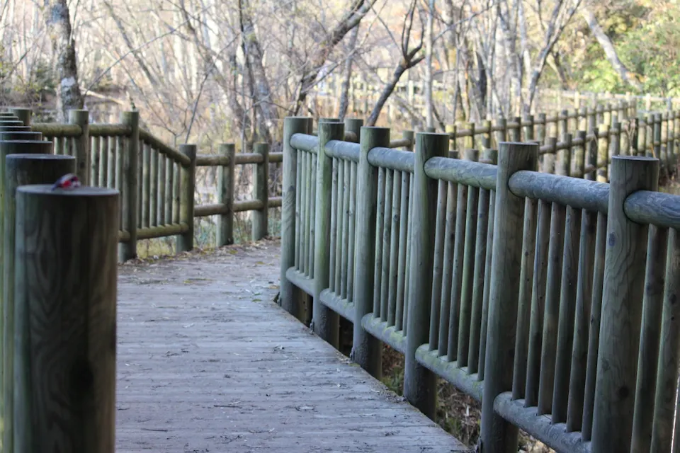 Hiking Kamikochi Trails A wooden pathway with railings winds through a leafless forest. The path appears empty, and there is a small bird perched on the railing in the foreground. Tree trunks and branches fill the background, creating a serene, natural scene.