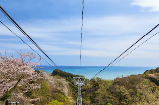 A cable car line stretches over lush green hills and blooming cherry blossoms toward a calm blue sea under a clear sky.