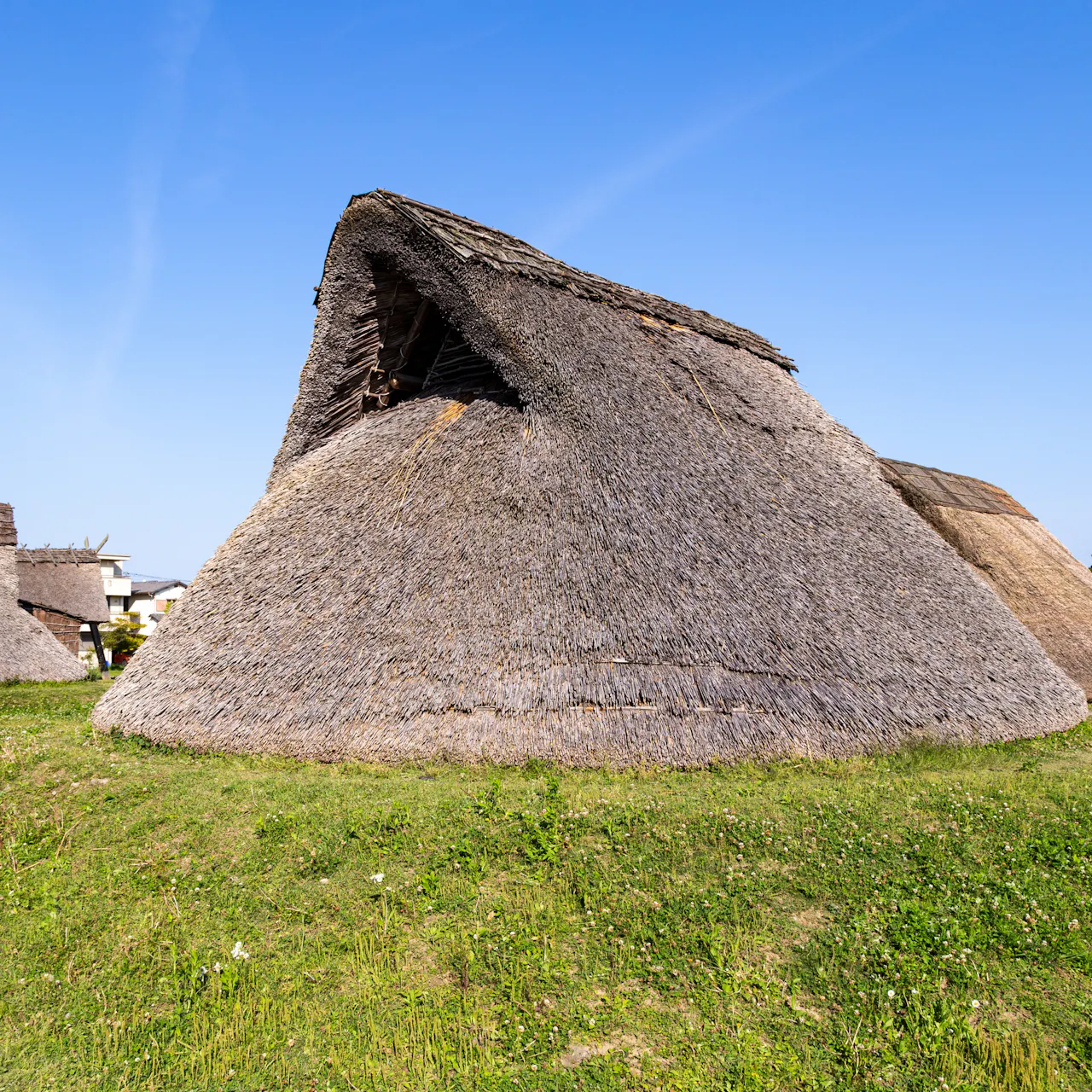 Toro Point Toro Park in Shizuoka: Highlights, Access & Tips - Trip To Japan