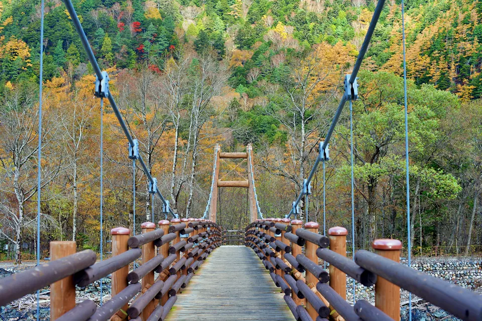Myojin Bridge A wooden suspension bridge leads into a forest filled with colorful autumn foliage. The bridge is framed by cables and posts, providing a view of the vibrant trees and a mountainous landscape in the background.