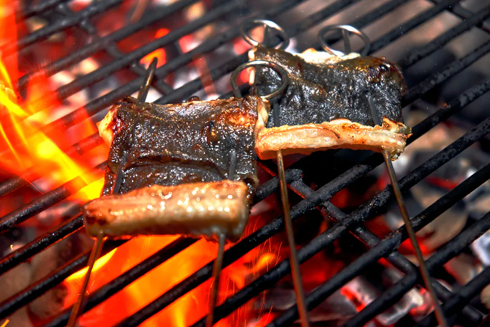 Charcoal-grilled Unagi